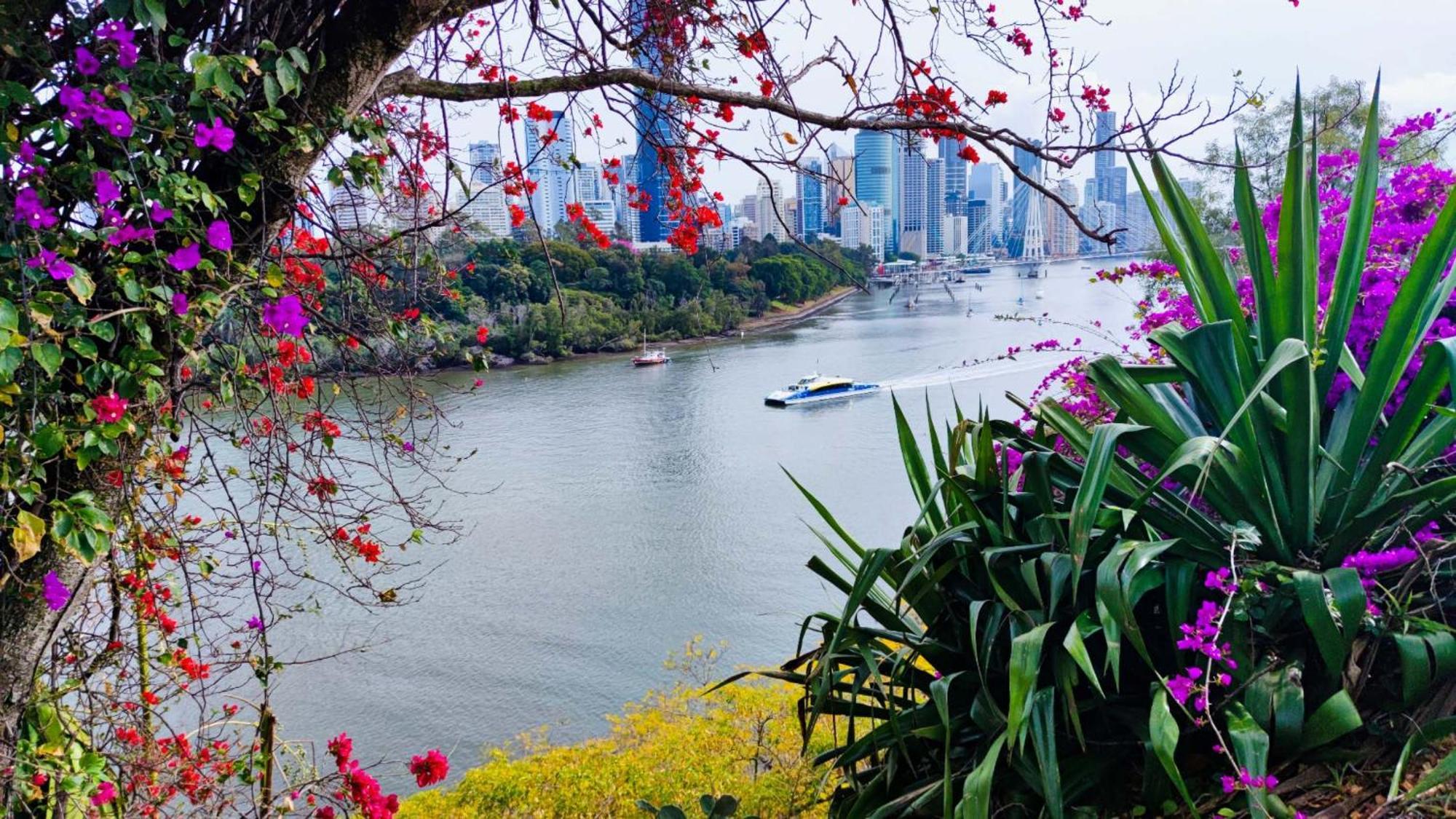 Cliffinn Kangaroo Point Brisbane Eksteriør billede